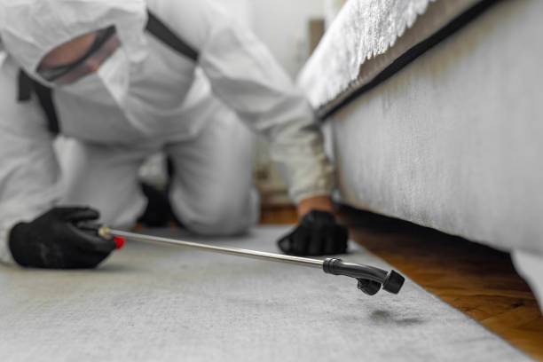 Professional Bed Bug Control technician working in East Syracuse, NY