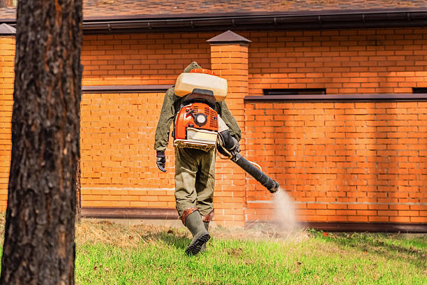 Trusted Ant Control service in East Syracuse, NY - Nex Pest Control